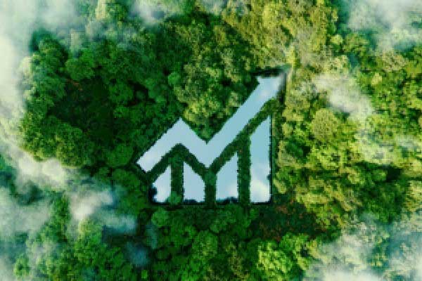 苏能股份陈创举上任总经理：5个月董事长、副董事长、总经理全换血，上半年净利预降89%